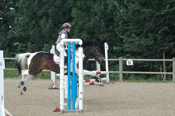 Stævne i Syddjurs Rideklub juli 2011 billede 4