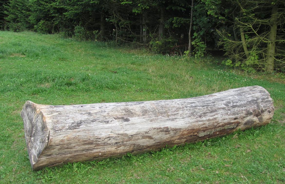 HJEMMEBYGGET SPRING - KIG KIG - Træstamme - leveret af nabo sidste år.  billede 5