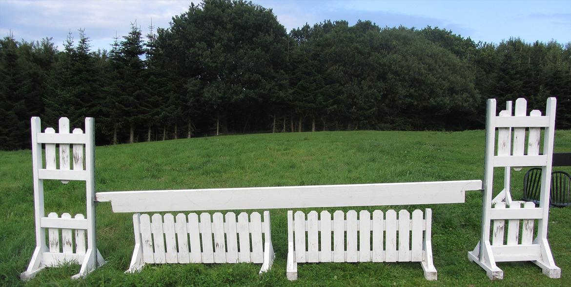 HJEMMEBYGGET SPRING - KIG KIG - Det gamle hegnspring, som er blev pebbet op med en farlig hvidplanke  - mangler hænder på den ene side, men kommer i næste uge.  billede 10