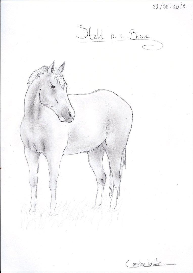 Flere tegninger .. - Stald p. r. Bisse..
Fik desværre ikke tegnet det ordentligt op.. billede 12