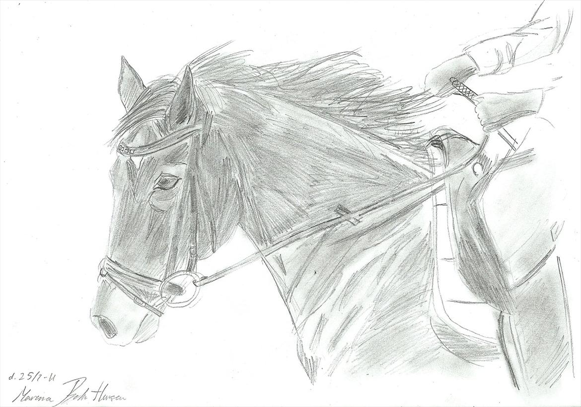 Tegninger :D   - Tegning til Tanya & Flicka Bell . :) 
Tegnet mandag d. 25. juli 2011
 billede 250