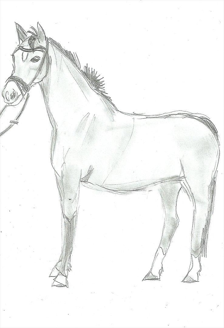 Tegninger :D   - Tegning til Dorte Sønderby L :) 
Tegnet mandag d. 25. juli 2011
 billede 248