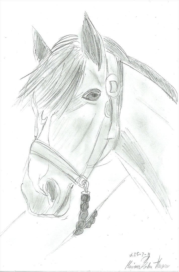 Tegninger :D   - Tegning til josephine B :)
Tegnet mandag d. 25. juli 2011 billede 246