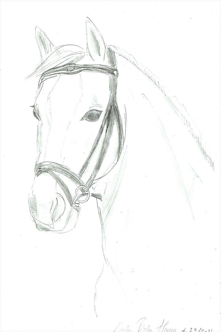 Tegninger :D   - Tegning til Maja Viktoria S :) 
Tegnet fredag d. 29. juli 2011
 billede 240