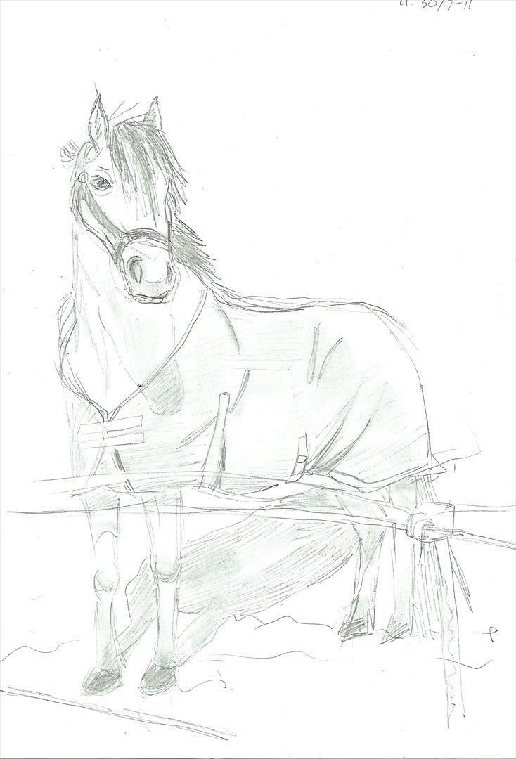 Tegninger :D   - Tegning til Lion + Katja 4-ever! <3 O :)
Tegnet lørdag d. 30. juli 2011  billede 238