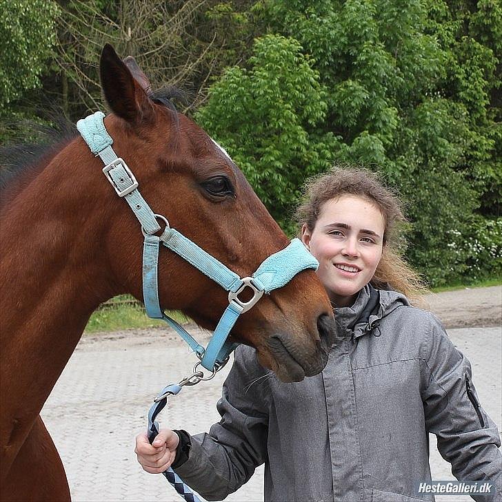 Tegninger :D   - Original billede :) - Alex & Ankhesenamun 
 billede 243