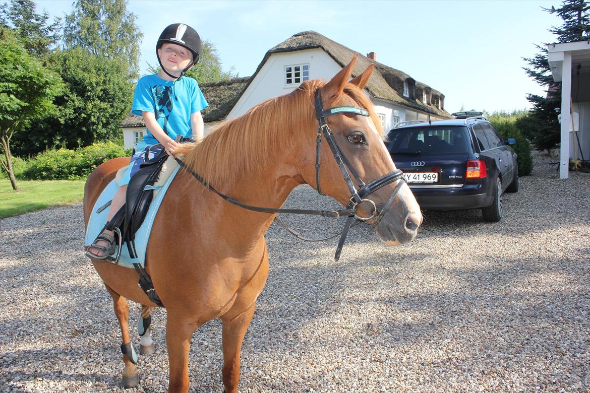 Nevø og niece ude og ride ponyen:) billede 3