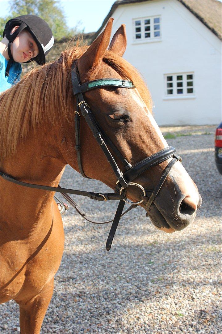 Nevø og niece ude og ride ponyen:) billede 6