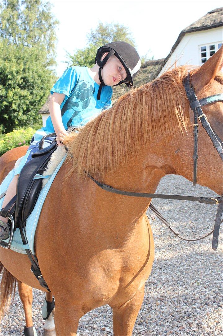 Nevø og niece ude og ride ponyen:) billede 7