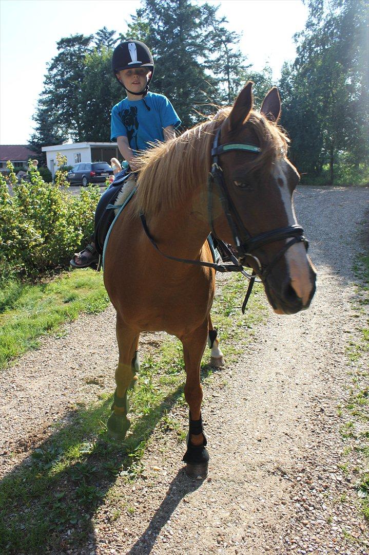 Nevø og niece ude og ride ponyen:) billede 8