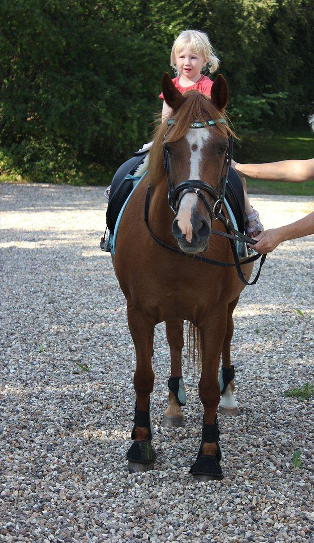 Nevø og niece ude og ride ponyen:) billede 12