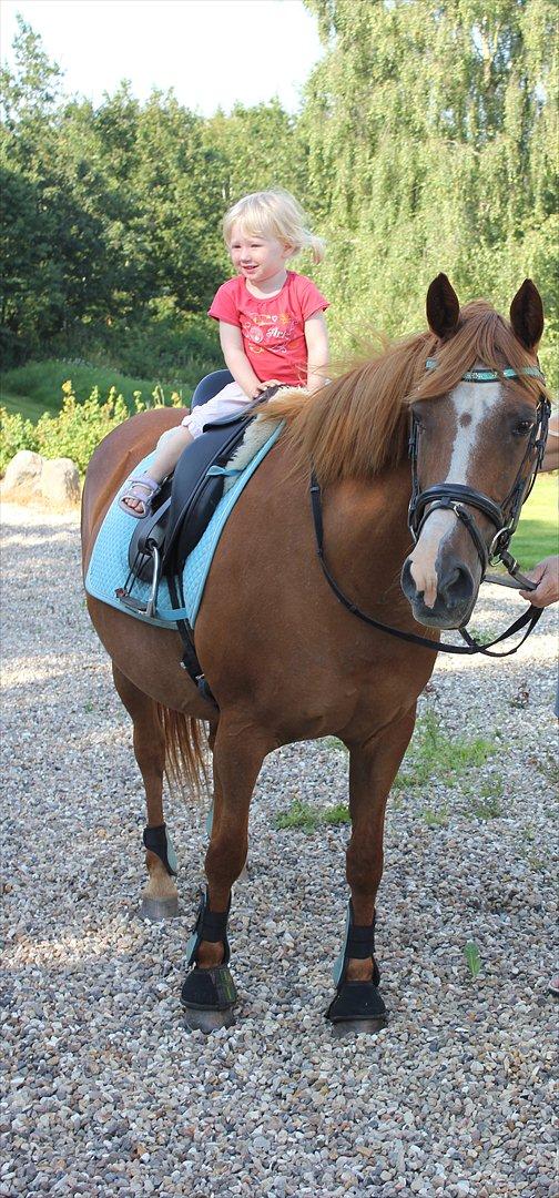 Nevø og niece ude og ride ponyen:) billede 13