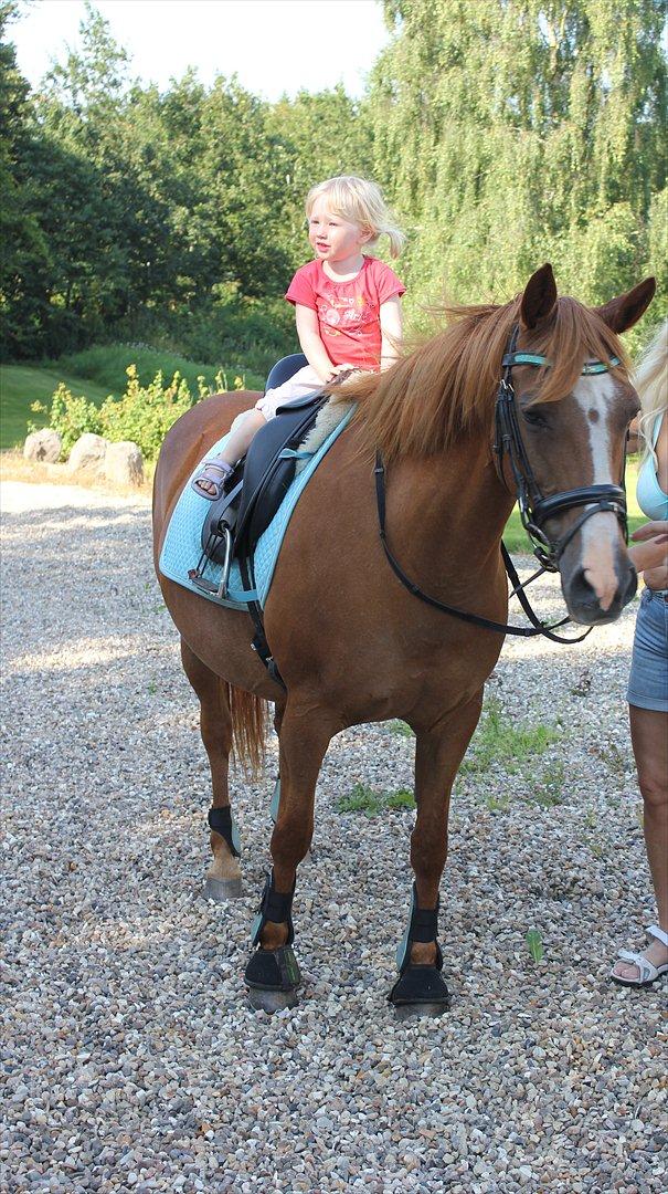 Nevø og niece ude og ride ponyen:) billede 14