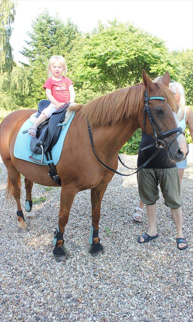 Nevø og niece ude og ride ponyen:) billede 16