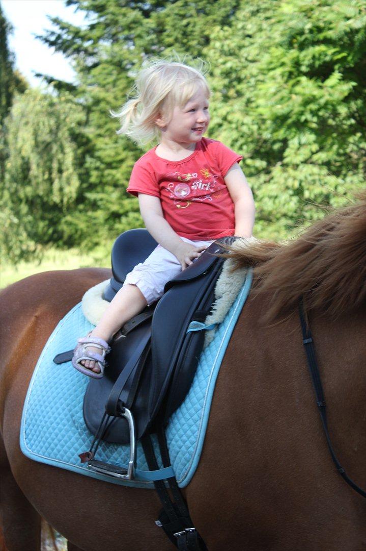 Nevø og niece ude og ride ponyen:) billede 18