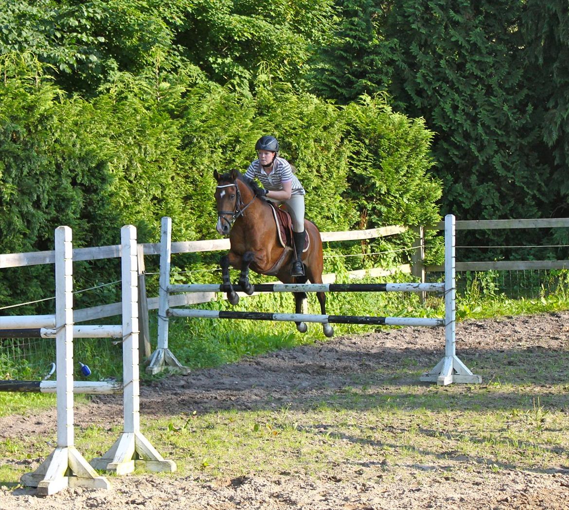 Springning på Rex billede 4