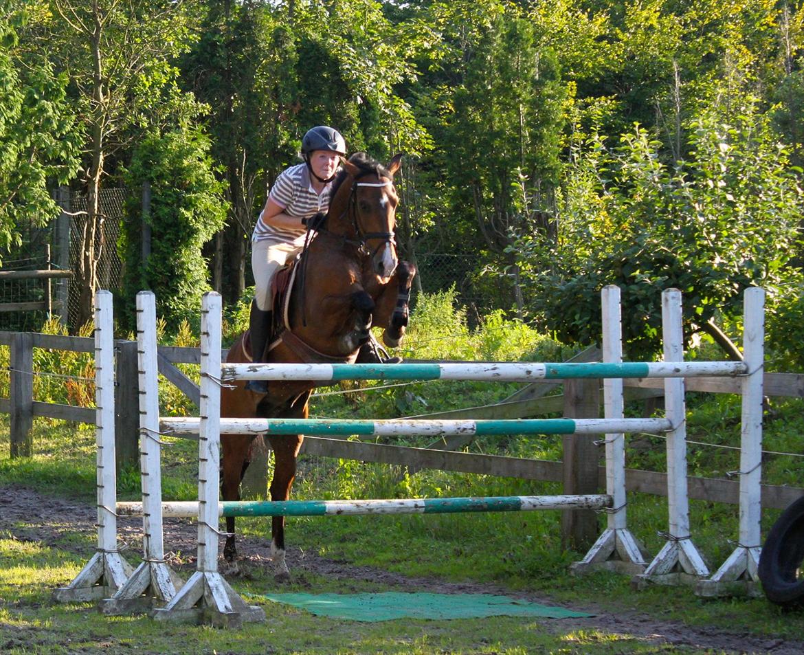 Springning på Rex billede 14