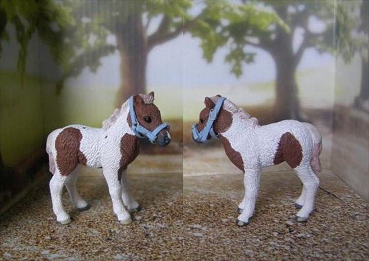 Mine Schleich Dyr - Modelmalet til min lillesøster. Navn: Matros. Race: Ukendt. Køn: vallak. Alder: 2 mdr. billede 122
