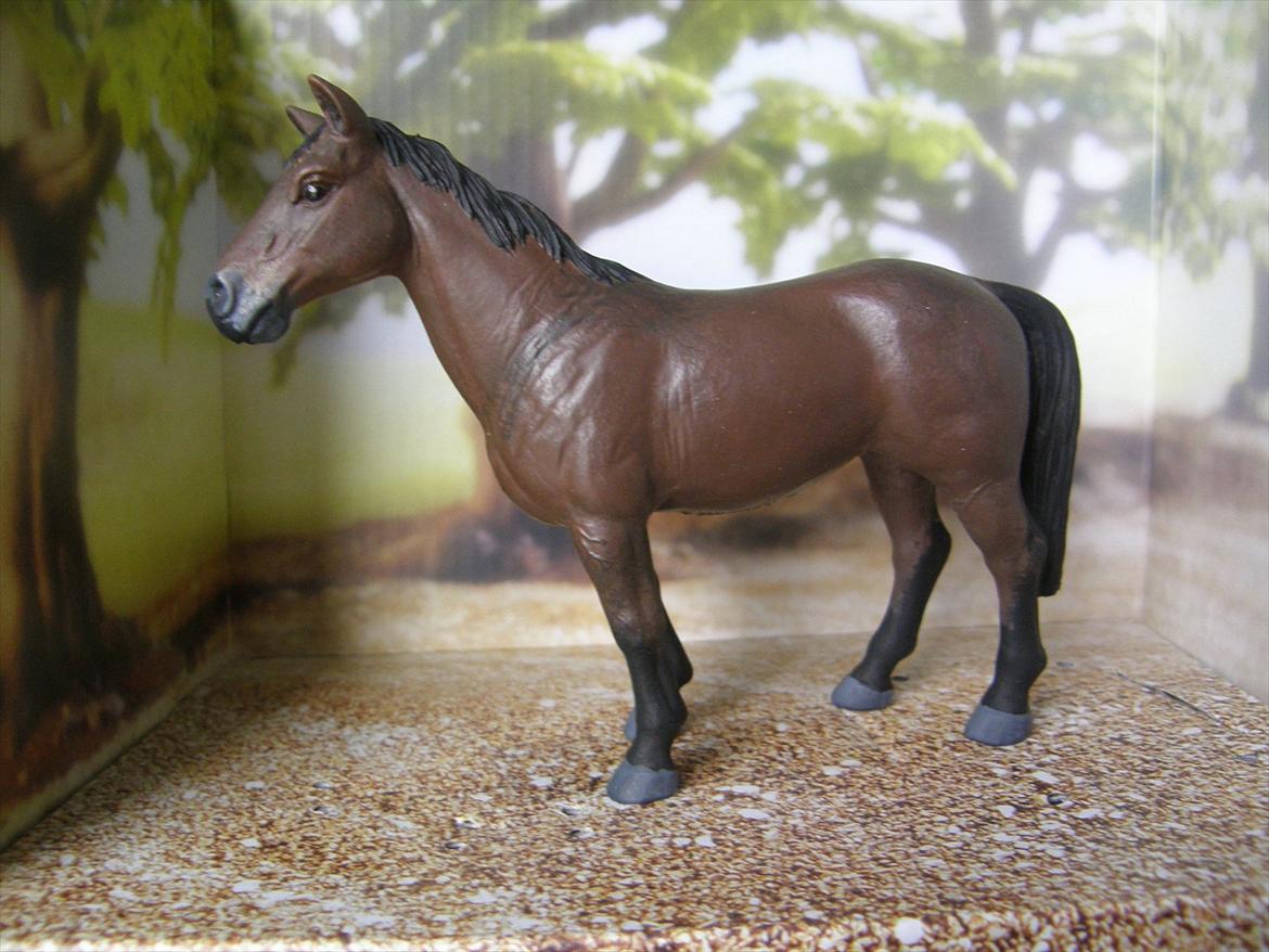 Mine Schleich Dyr - Modelmalet til min lillesøster. Navn: Mutsaards Charlotte (Chariot). Race: New Forest. Køn: Hoppe. Alder: 9 år billede 123