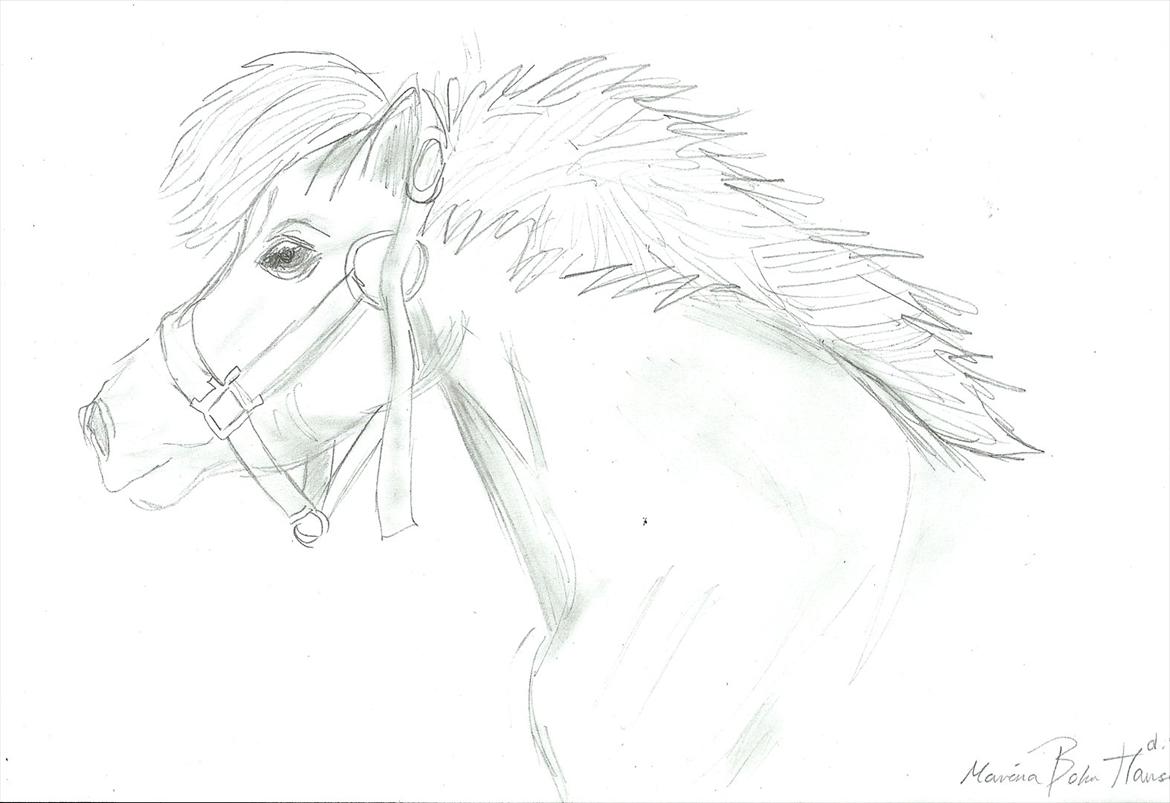 Tegninger :D   - Tegning til louise V :)
Tegnet fredag d. 5. augsut 2011 billede 233