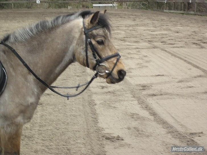 Tegninger :D   - Original billede :) - Bysteds Cosmos billede 232