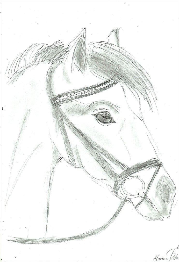 Tegninger :D   - Tegning til elsk din hest og den vil elske diigh <3 . :)
Tegnet fredag d. 5. august 2011 billede 231