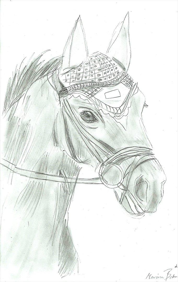 Tegninger :D   - Tegning til Julie E :)
Tegnet fredag d. 5. august 2011 billede 229