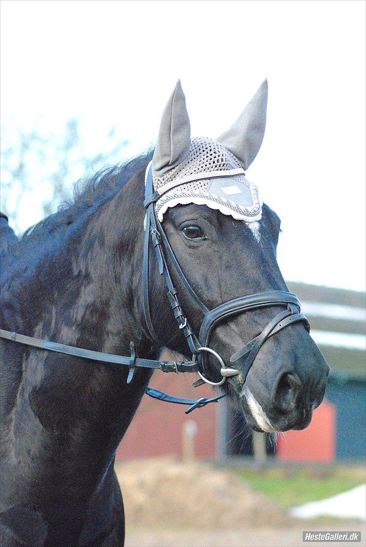 Tegninger :D   - Original billede :) - Sara billede 230