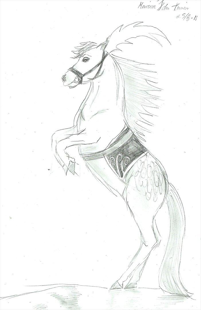 Tegninger :D   - En tegning jeg vil deltage i en tegnekonkurrence med i HGklubben Kunsten at tegne :)
Tegnet fredag d. 5. august 2011 billede 225