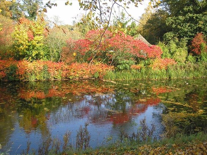 Når man bor i smukke omgivelser. - Efterår ved Vallø slot. billede 4