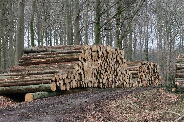 Når man bor i smukke omgivelser. - Hårdt arbejde. billede 5