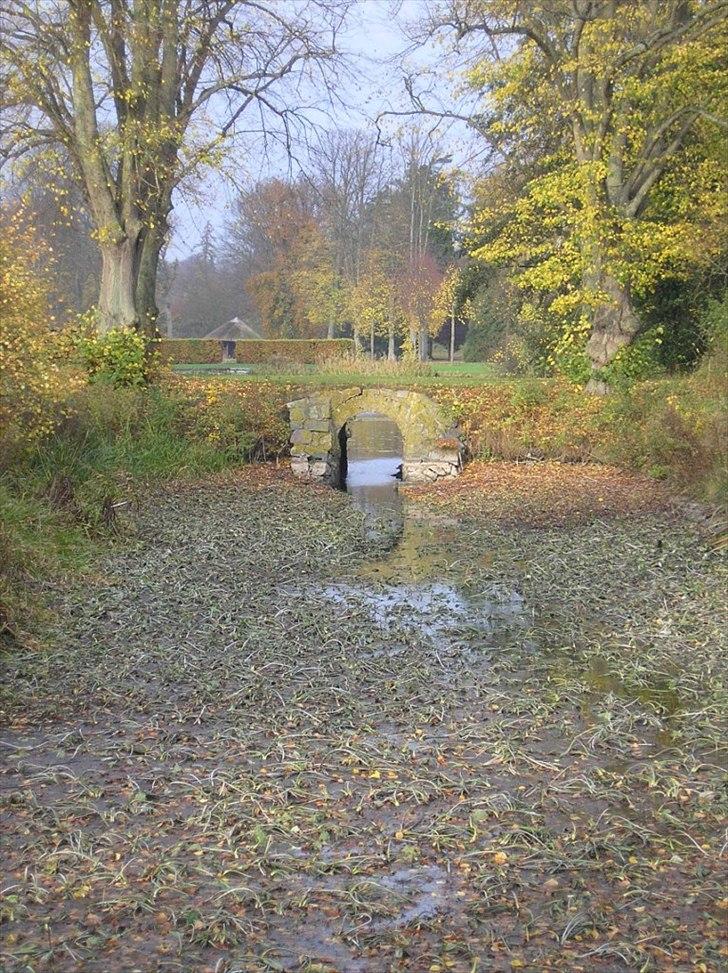 Når man bor i smukke omgivelser. - voldgraven ved Vallø slot. billede 8