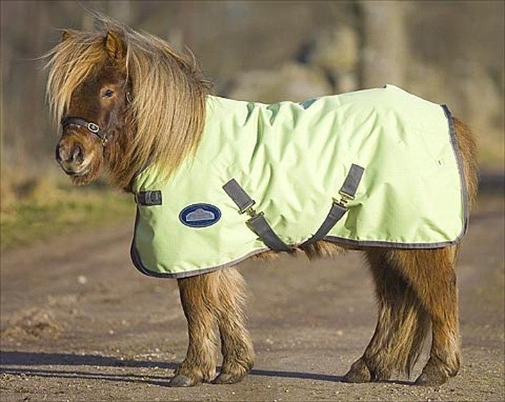 SØGER SHETLANDS PONY UDSTYR SØGER IKKE MER - pink billede 6