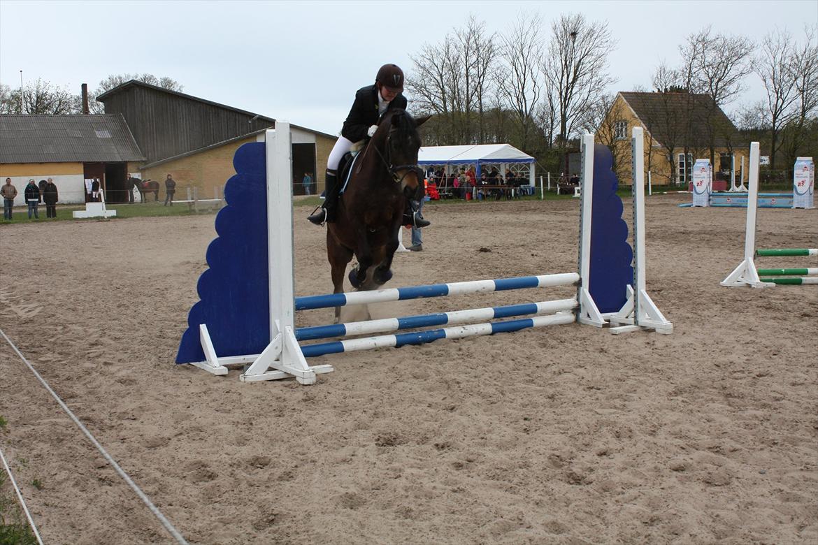 Billeder af andre heste jeg rider - Holmens Kazai (4-års) 2010
Hans første stævne :) billede 15