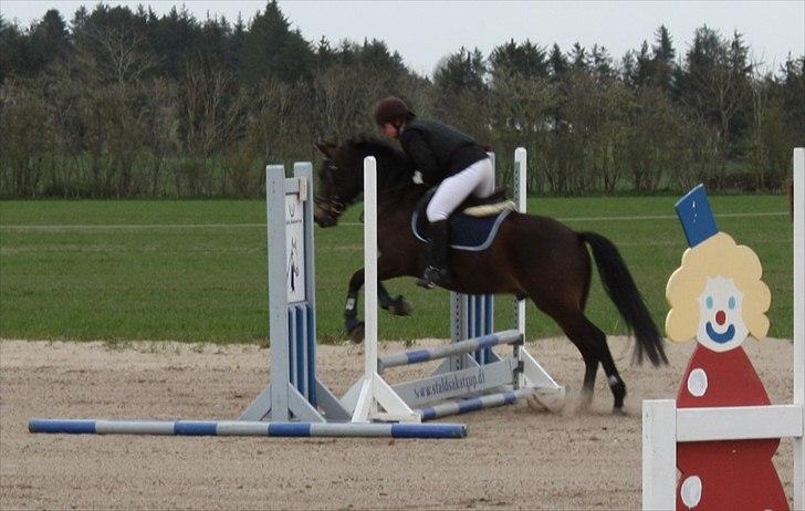 Billeder af andre heste jeg rider - Holmens Kazai (4-års) 2010 billede 16