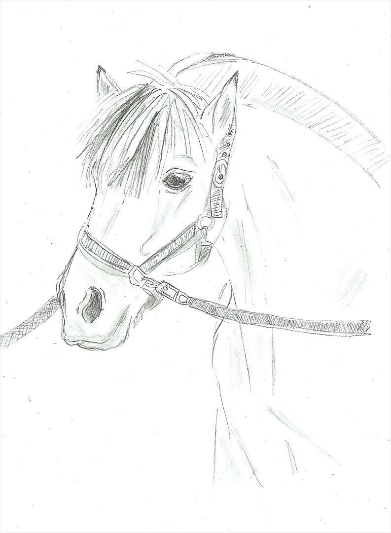 Tegninger :D   - Tegning til •SPHILY• SØGER PART! P :)
Tegnet lørdag 6. august 2011 billede 223