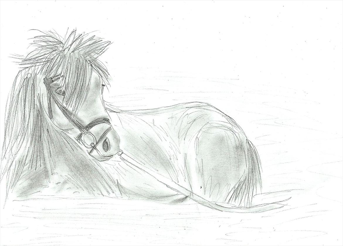 Tegninger :D   - Tegning til *Stald Vaseli - * Team - Libre Equitación :)
Tegnet lørdag d. 6. august 2011 billede 221