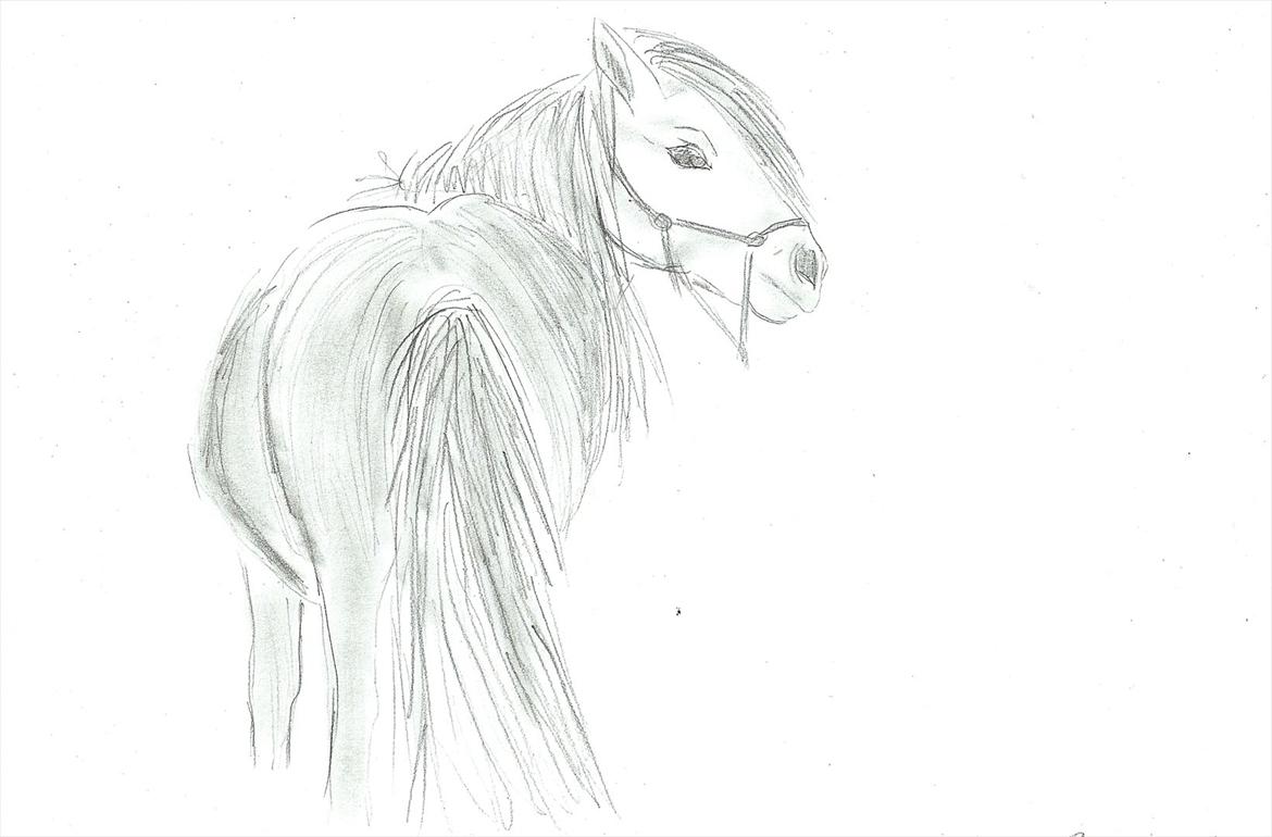 Tegninger :D   - Tegning til mille C :)
Tegnet lørdag d. 6. august 2011 billede 217