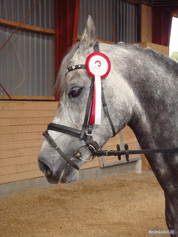 Tegninger :D   - Original billede :) - Casiopeja  billede 220