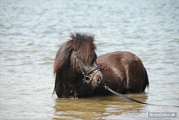 Tegninger :D   - Original billede :) - Ejstrups Playback  billede 222