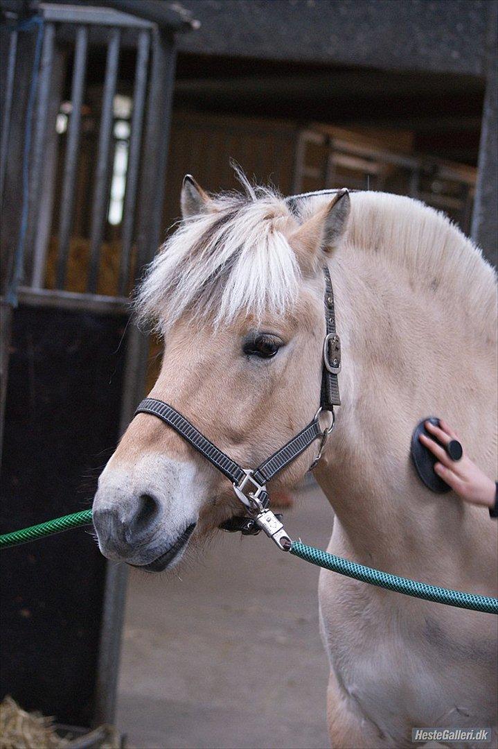 Tegninger :D   - Original billede :) - Twister billede 224