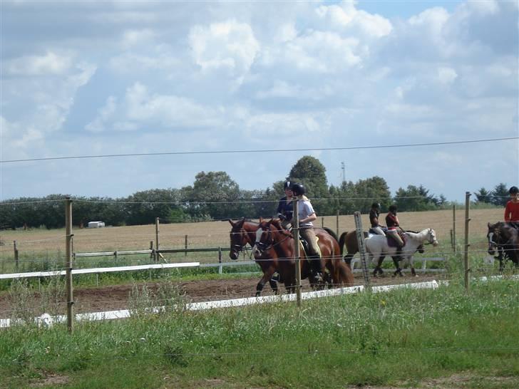 Midtjysk ridelejr 07 - Her er nogen ude og ride på den udendørs ridebane. billede 5