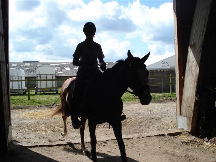Midtjysk ridelejr 07 - Så er man inde efter en ridetur. Det her er privatheste stalden ;o)... billede 8