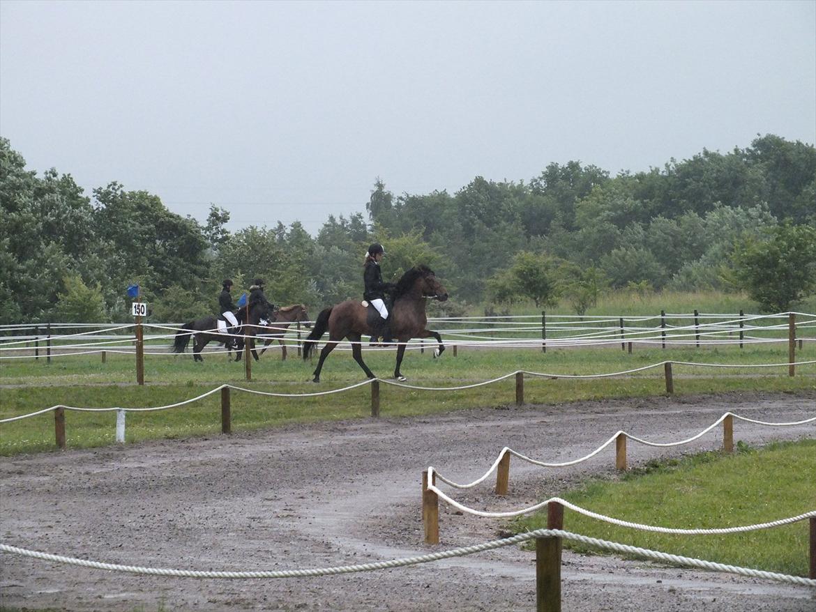 Ljúfa fra Bjergagergård - Mig og Ljúfas første DM billede 1