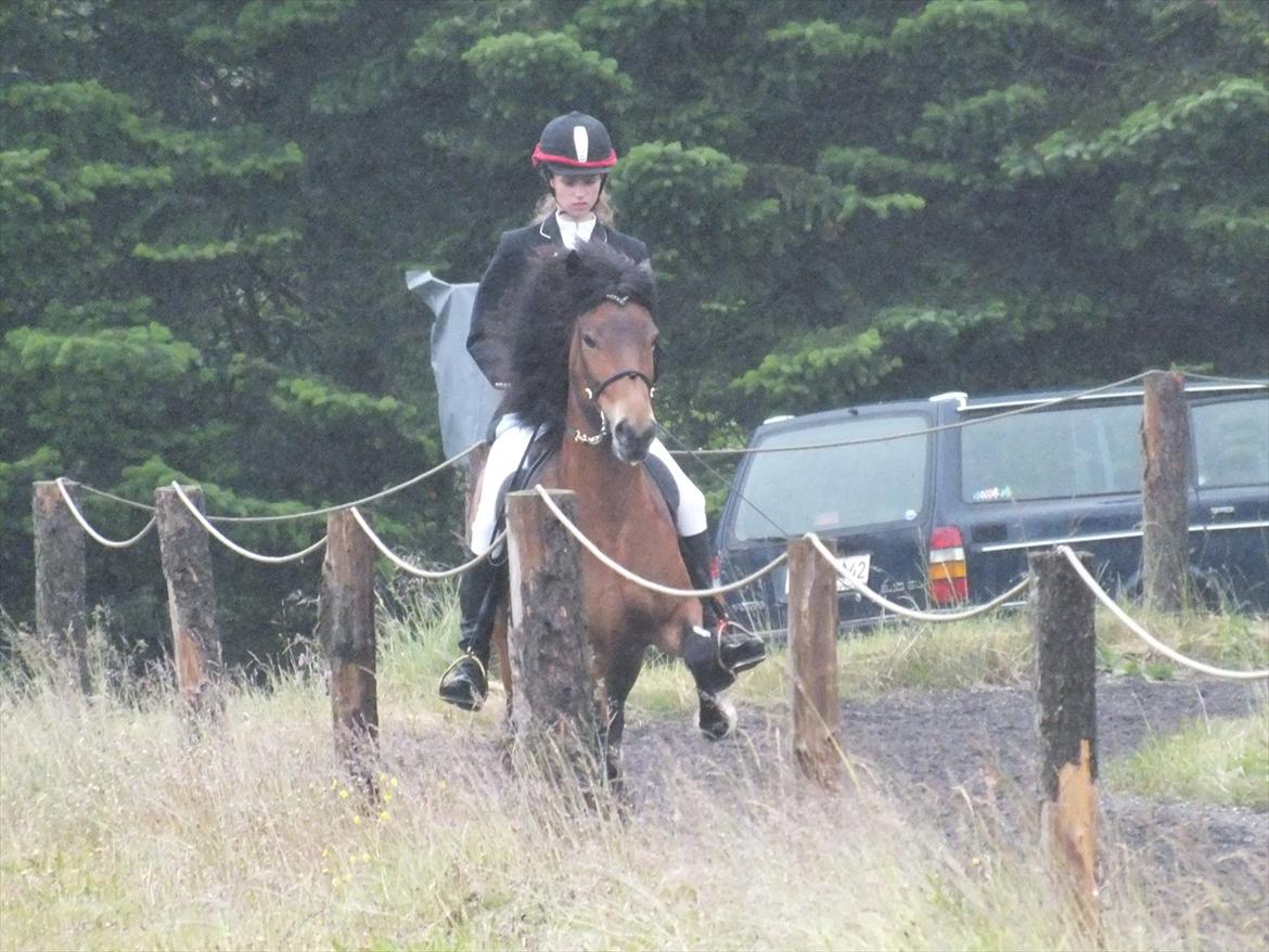 Ljúfa fra Bjergagergård - Gantistævnet billede 3