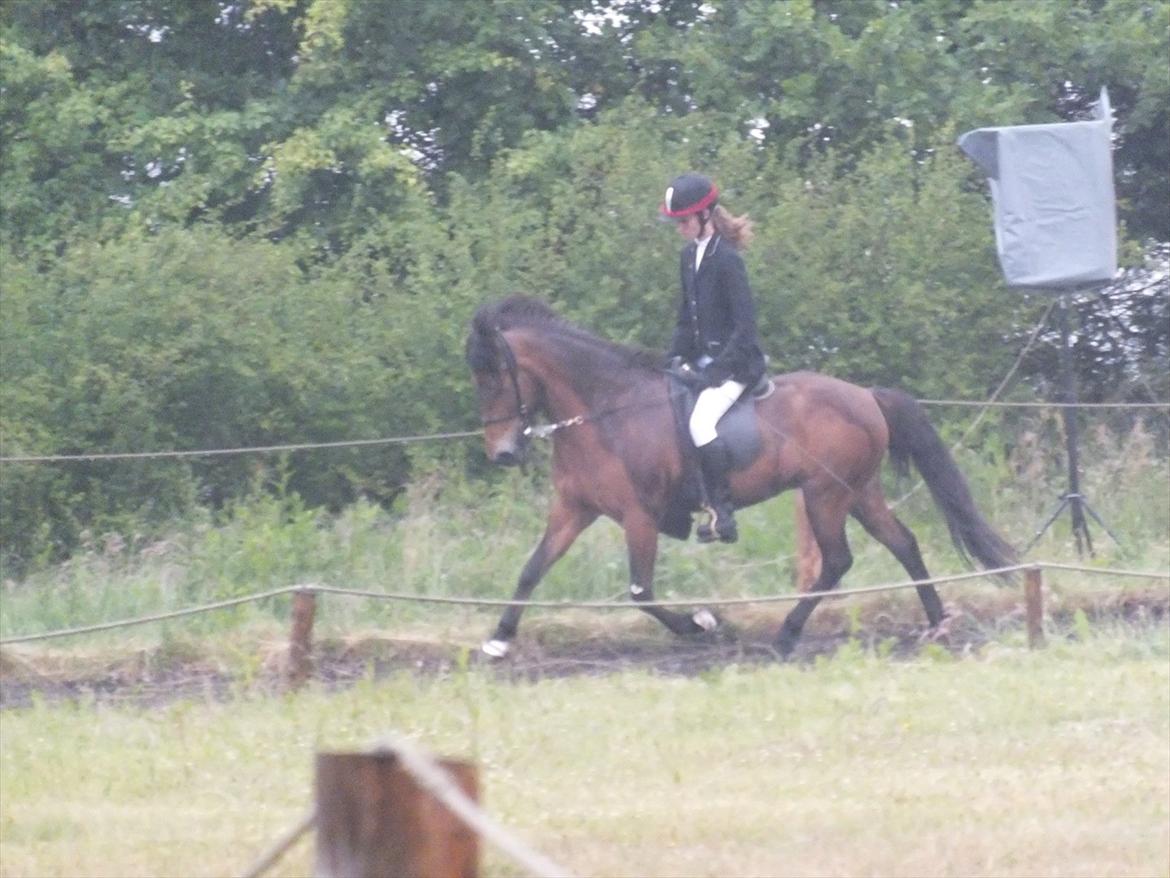 Ljúfa fra Bjergagergård - Smukke Ljúfa <3 billede 5