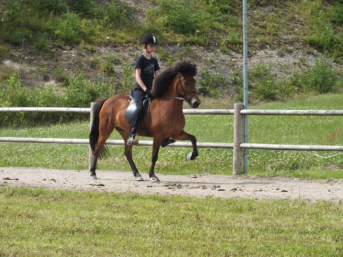 Ljúfa fra Bjergagergård - Min super tölter billede 9