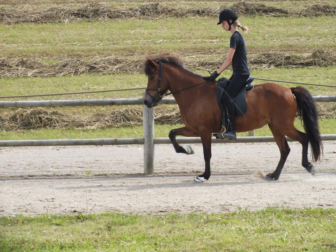 Ljúfa fra Bjergagergård - Ljúfa <3 billede 11