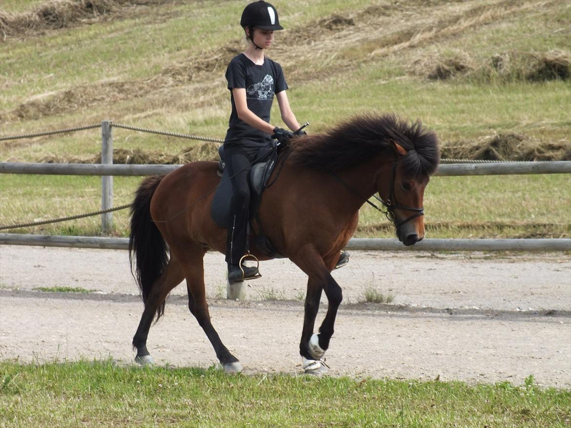 Ljúfa fra Bjergagergård - Super skridt billede 12