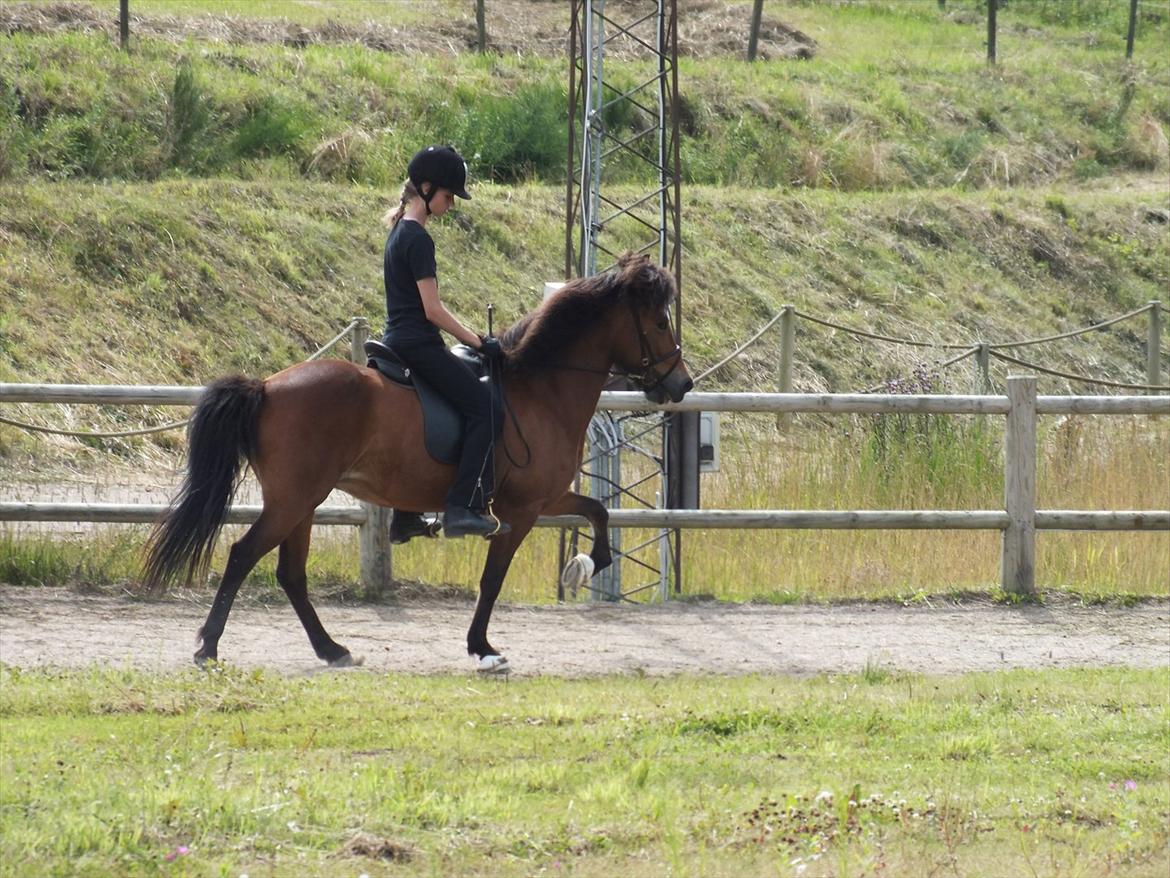 Ljúfa fra Bjergagergård - Smukke Ljúfa billede 14